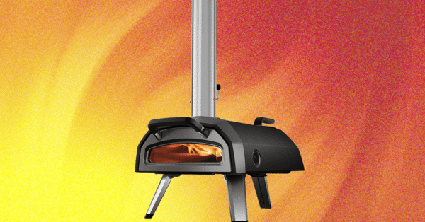 Our 9 Favorite Pizza Ovens: Wood, Gas, Electric, and Grill (2025)