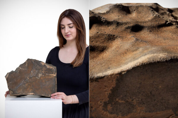 Martian Meteorite (NWA 16788) Could Fetch $4-Million at Auction