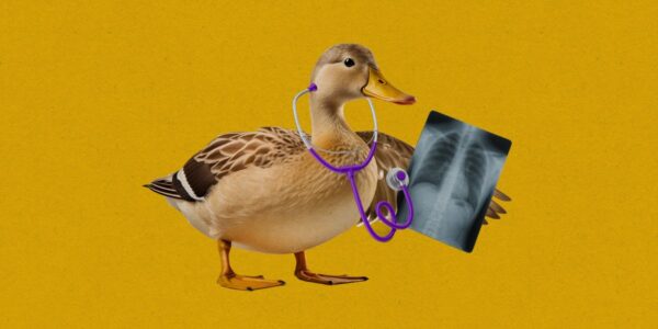 AI companies have stopped warning you that their chatbots aren’t doctors