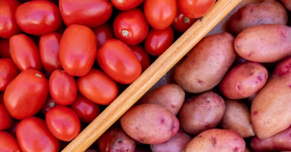 Science Reveals the Surprising Origins of the Potato