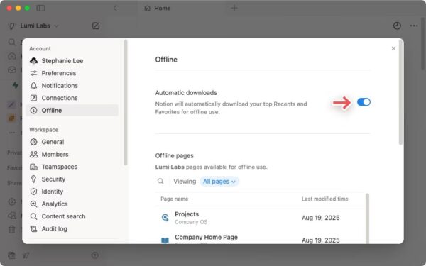 Finally, Notion now works without an internet connection