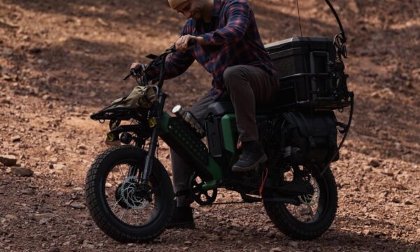 The PawkyMo AR Series Review