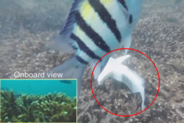 Seawater-Powered Robot Diving Deep Pretends to be a Fish That Isn’t