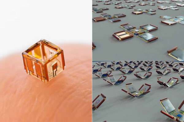 Smartlets Take Microrobotics to the Next Level, with Fingertip-Sized Robots