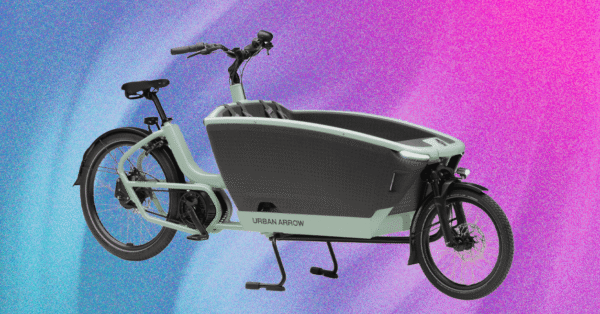 9 Best Electric Cargo Bikes for Families (2025), Tested and Reviewed