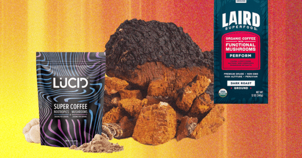 Mushroom Supplements Are the Biohackers’ Latest Fix (2025)