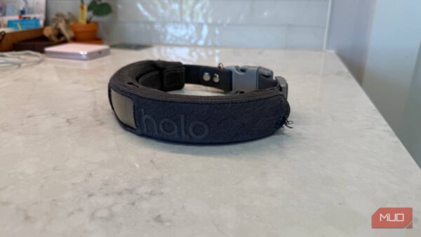 This $549 dog collar saved me from buying a $10,000 fence