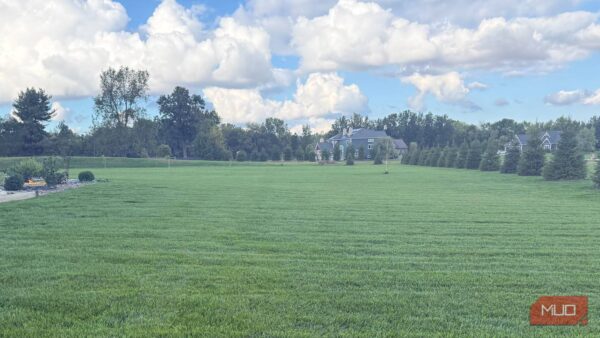 This simple lawn routine finally made my yard go green