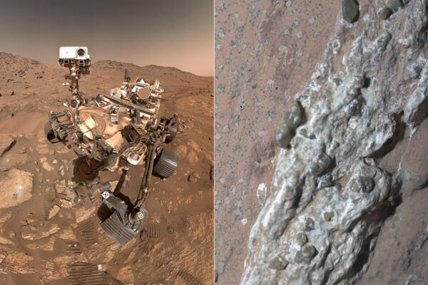 Mars’ Leopard-Spotted Rock Could be Clearest Sign of Ancient Life Yet