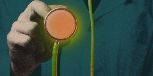 The Download: The LLM will see you now, and a new fusion power deal