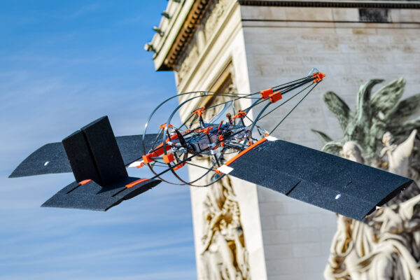 Innovative SWIFT Drone Takes Hits Like a Woodpecker