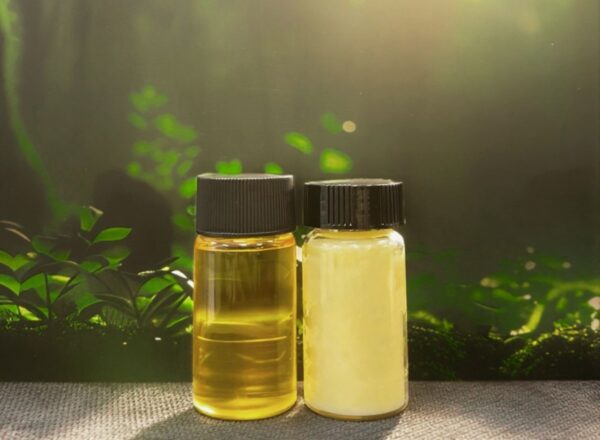 Terra Oleo’s oil-producing microbes could replace destructive palm oil plantations