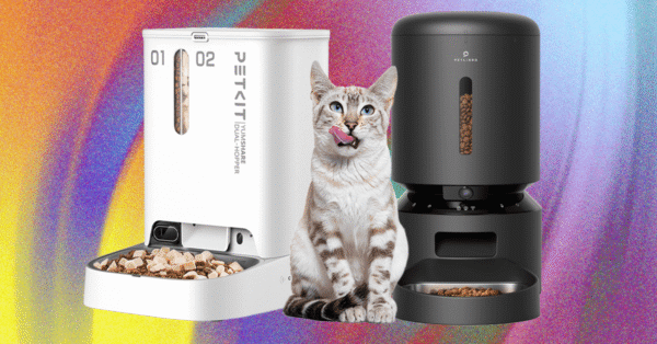 These 8 Automatic Cat Feeders Were the Best We Tested (2025)