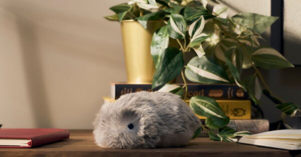 Casio’s Fluffy AI Robot Squeaked Its Way Into My Heart