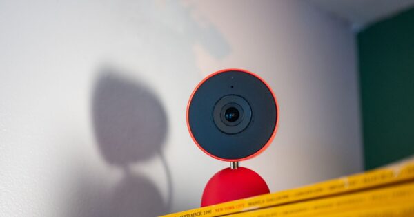 Gemini in Google Home Keeps Mistaking My Dog for a Cat