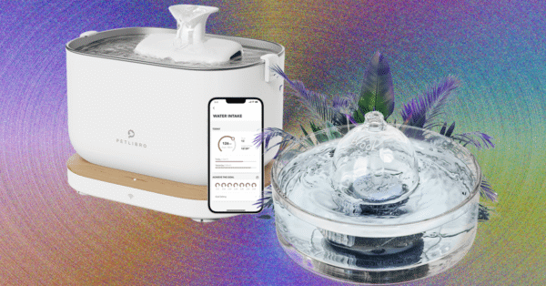 9 Best Cat Water Fountains, WIRED Tested and Reviewed (2025)