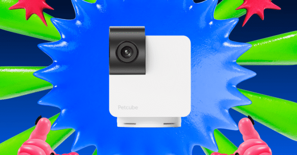 The Petcube Cam 360 Is $16 Off for Prime Day