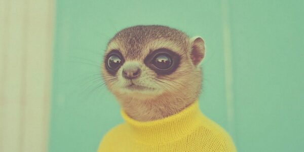 The Download: The rehabilitation of AI art, and the scary truth about antimicrobial resistance