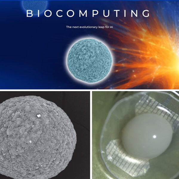 FinalSpark Wants to Develop Computers Powered by Mini Human Brains