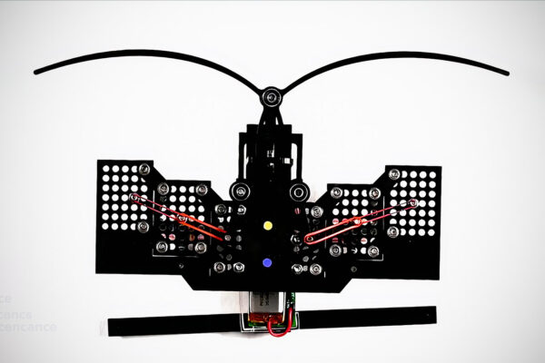 Rubber Bands Pull Off Robot Smarts