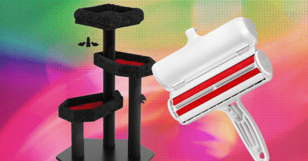 33 Best Gifts for Cat Lovers (2025)