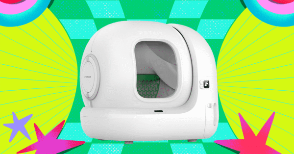 The Petkit PuraMax 2 Is $100 Off Right Now (2025)