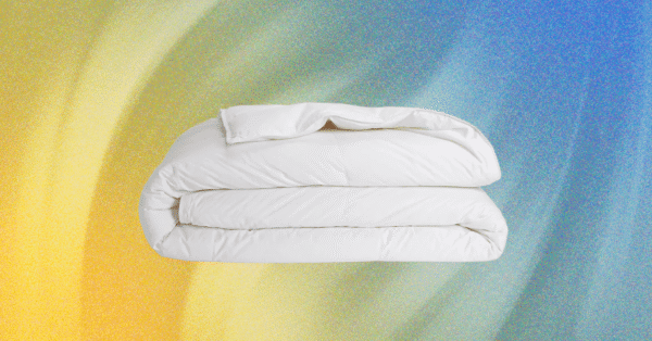 11 Best Down Comforters (2025), Tested in Our Homes in Every Season