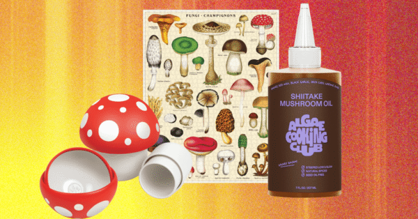The Best Mushroom Gifts for Your Fungi Friend (2025)