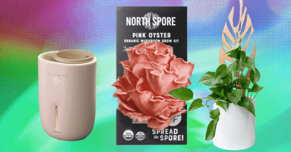 The 17 Best Gifts for Plant Lovers We’d Buy Ourselves (2025)