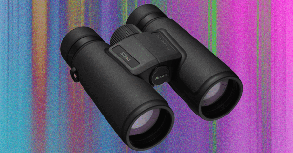 Best Binoculars (2025): Zeiss, Swarovski, Leica