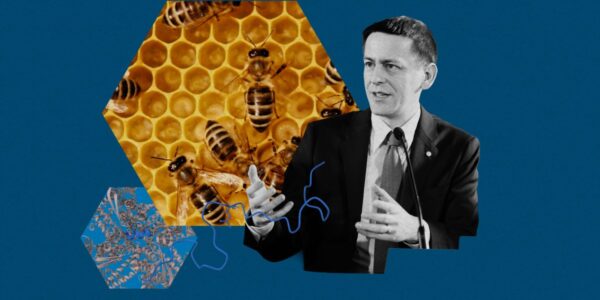 The Download: the future of AlphaFold, and chatbot privacy concerns