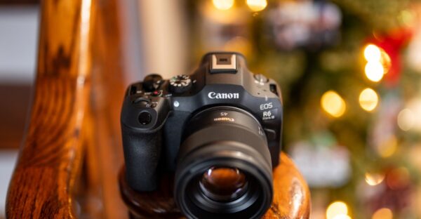 The Canon EOS R6 Mark III is great, but this lens is amazing