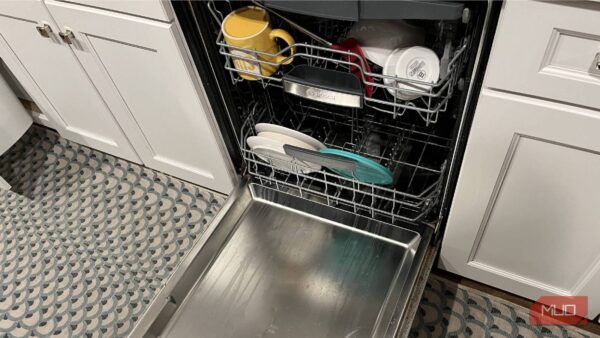 I nearly ruined my dishwasher because I didn’t know about this hidden filter