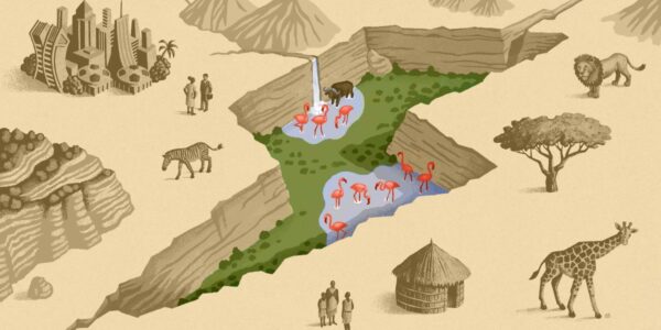 The Download: Kenya’s Great Carbon Valley, and the AI terms that were everywhere in 2025