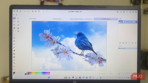 I replaced Paint.NET with this free open-source tool and I love it