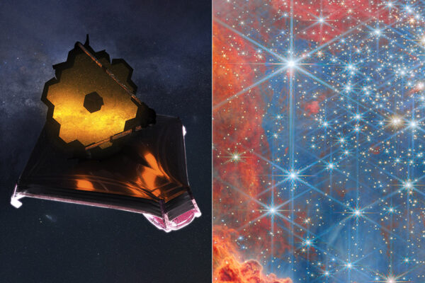Webb Shows Dwarf Stars Stealing the Show in Westerlund 2