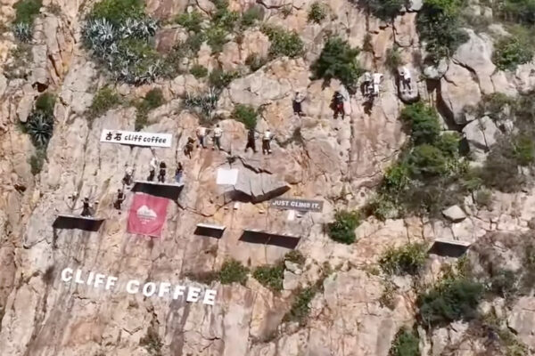 Gushi Cliff Coffee in Fujian, China is the Edge Where Coffee Meets Freefall