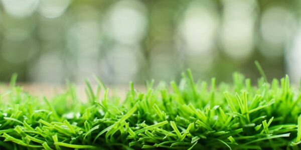 The Download: AstroTurf wars and exponential AI growth