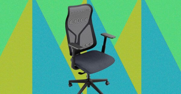 Vari Align Desk Chair Review (2026): Breathable, Comfy, Low Cost