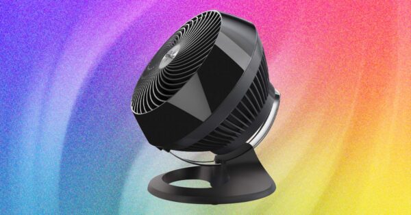 The 11 Best Fans to Buy Before It Gets Hot Again (2026)