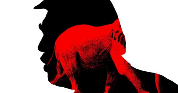 MAGA Is Starting to Look Beyond Trump