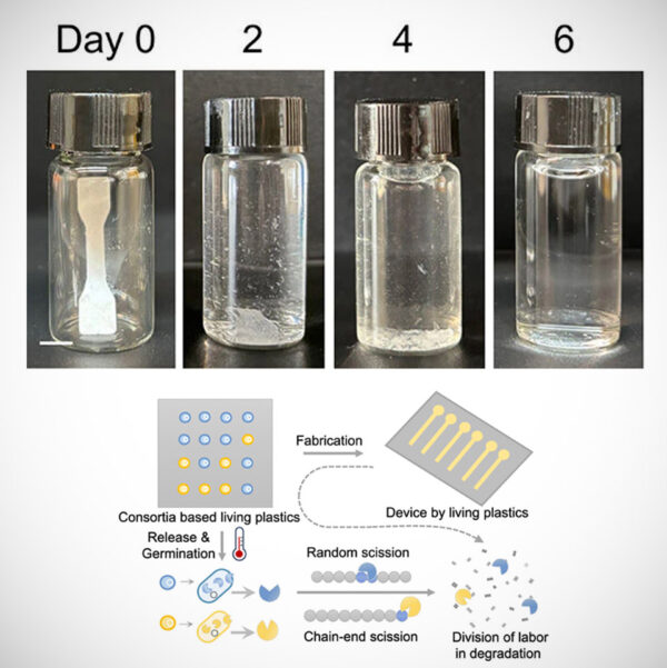 Innovative Living Plastics are Strong Until the Moment They Choose to Disappear